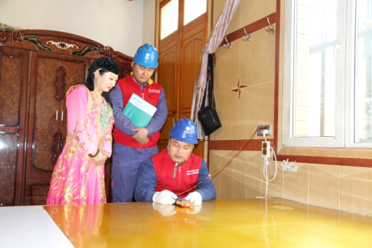 “十四五”國家電網發展成效①:轉型發展向新向綠