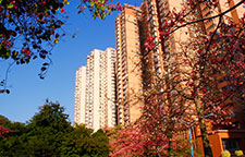 華科教育校園環境 華科教育校園環境