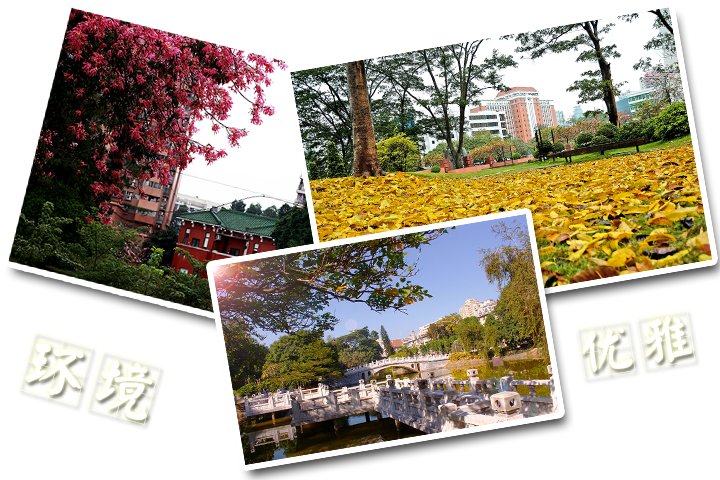 華師大環境 華師大環境