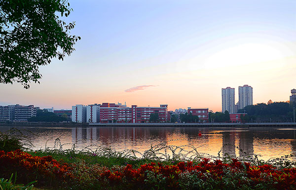 學校全景 學校全景