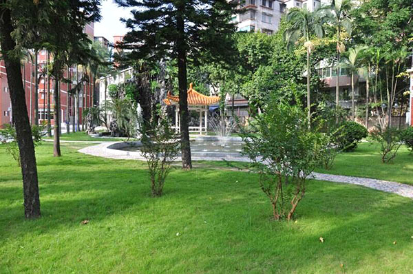 全程教育林蔭小道 全程教育林蔭小道