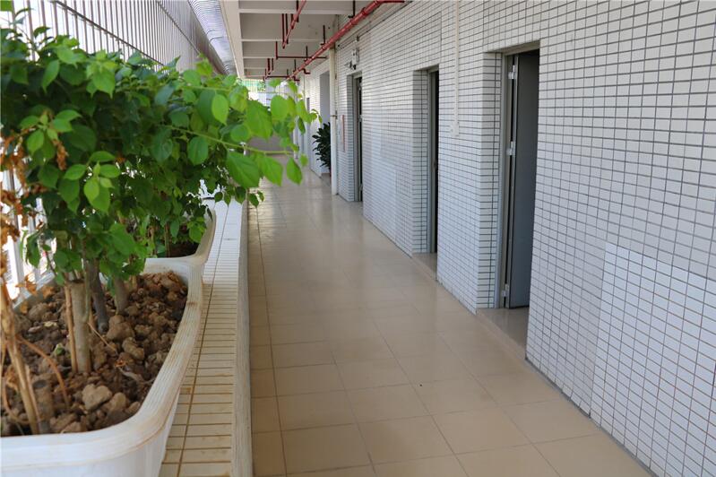 宿舍走廊 宿舍走廊