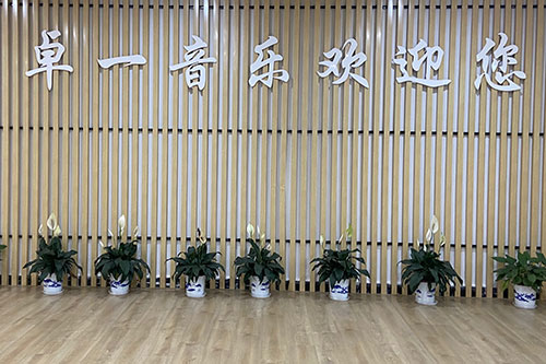 卓一音樂歡迎您 卓一音樂歡迎您