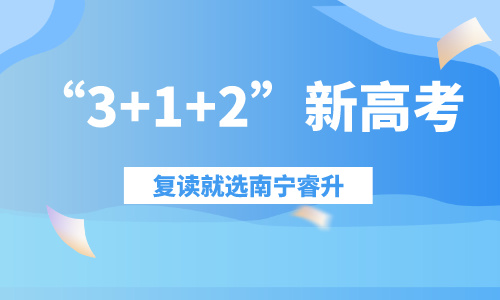 南寧睿升高復班招生簡章