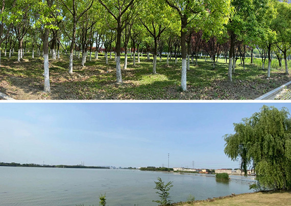 環境3.jpg 環境3.jpg