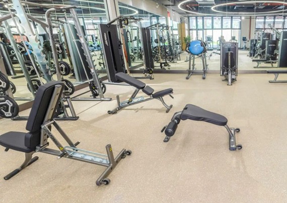 DM_20240103163604_056.jpg DM_20240103163604_056.jpg