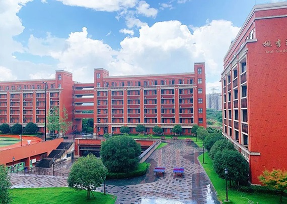 DM_20240629154252_002.jpg DM_20240629154252_002.jpg