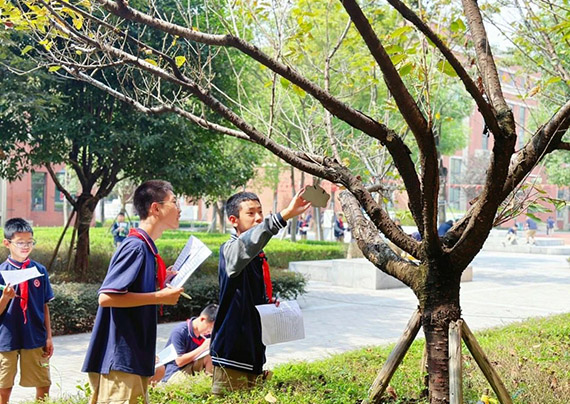 DM_20240629154252_030.jpg DM_20240629154252_030.jpg