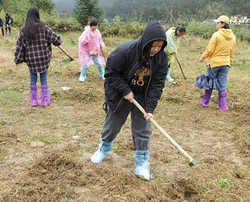 1 (82).jpg 1 (82).jpg