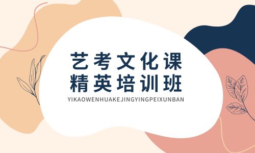 華壹翰墨藝考文化課精英班招生簡章
