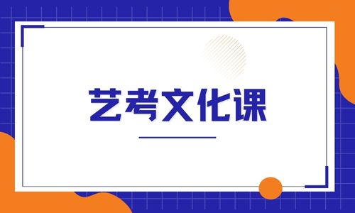 深圳威睿達思藝考文化課招生簡章