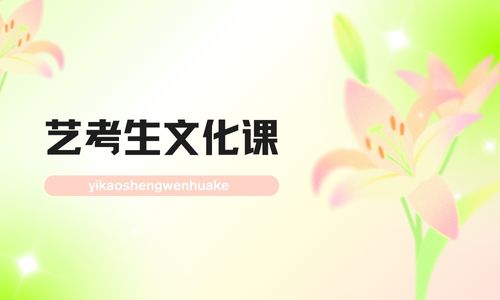 襄陽學無境藝考文化課招生簡章