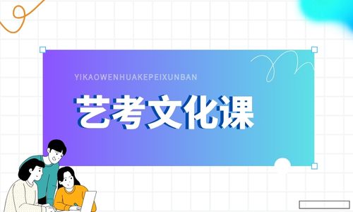 成都學(xué)大藝考文化課半年班招生簡(jiǎn)章