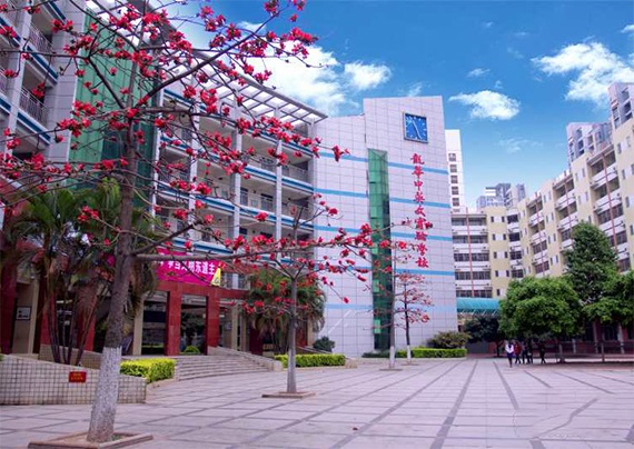 深圳龍華中英文復(fù)讀教育中心的教師實力如何?想了解!