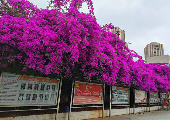 微信圖片_20240531162451.jpg 微信圖片_20240531162451.jpg