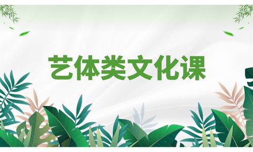 昆明藝體類文化課招生簡章