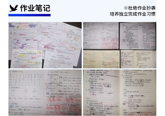 945D238D55BB344DB35DE7A425976151.jpg 945D238D55BB344DB35DE7A425976151.jpg