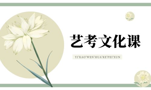 成都星火藝考文化課招生簡章