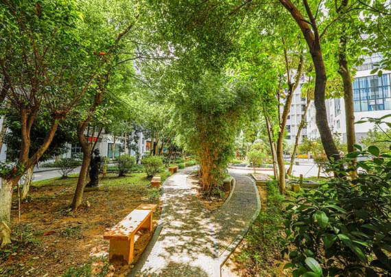 校園7 拷貝.jpg 校園7 拷貝.jpg