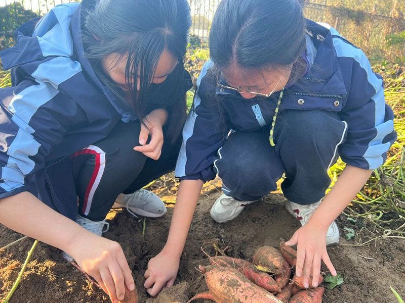 DM_20250403140332_034.jpg DM_20250403140332_034.jpg