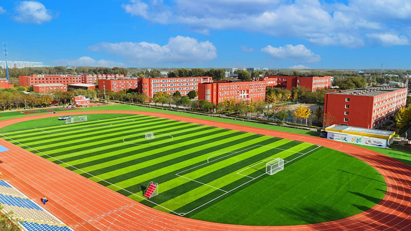 DM_20250403121401_006.jpg DM_20250403121401_006.jpg